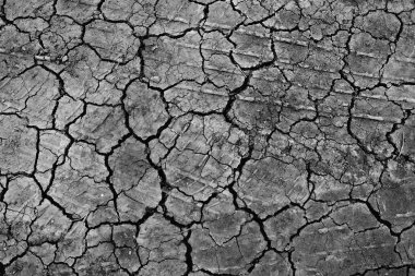 siyah kuru zemin duvar kağıdı