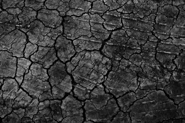 siyah kuru zemin duvar kağıdı