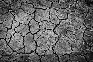 siyah kuru zemin duvar kağıdı