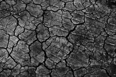 siyah kuru zemin duvar kağıdı