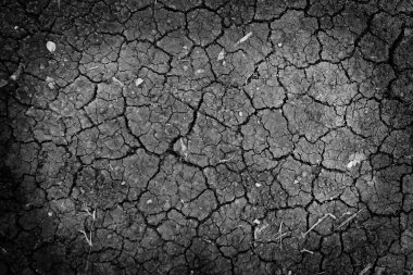 siyah kuru zemin duvar kağıdı