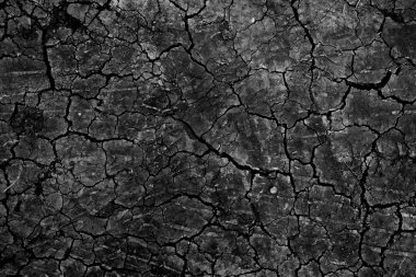 siyah kuru zemin duvar kağıdı