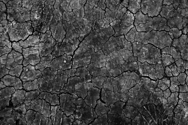 siyah kuru zemin duvar kağıdı