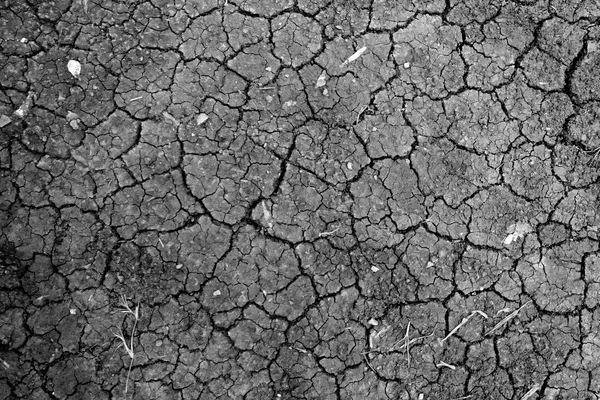 siyah kuru zemin duvar kağıdı