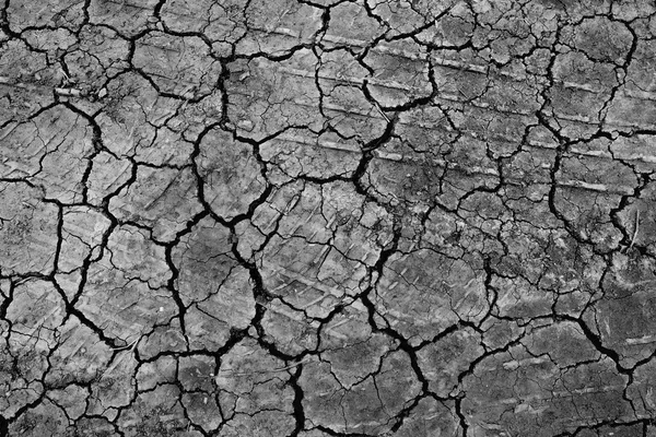 siyah kuru zemin duvar kağıdı