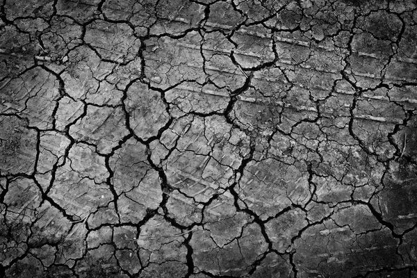 black Dry ground wallpaper