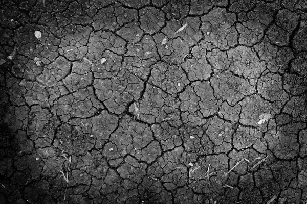 siyah kuru zemin duvar kağıdı