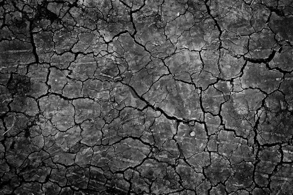 siyah kuru zemin duvar kağıdı