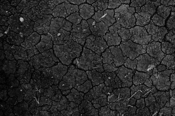 Black Dry ground wallpaper — Stock Photo, Image