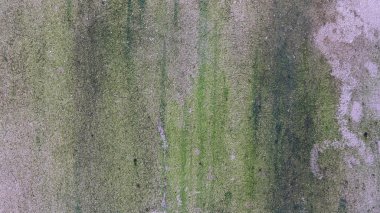 kirli duvar duvar kağıdı eski