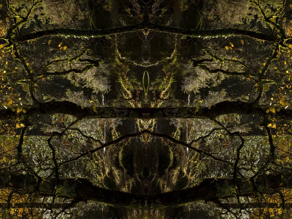 Psychedelische Regenwaldgesichter Symmetrischer Kaleidoskopspiegel Abstrakter Hintergrund — Stockfoto