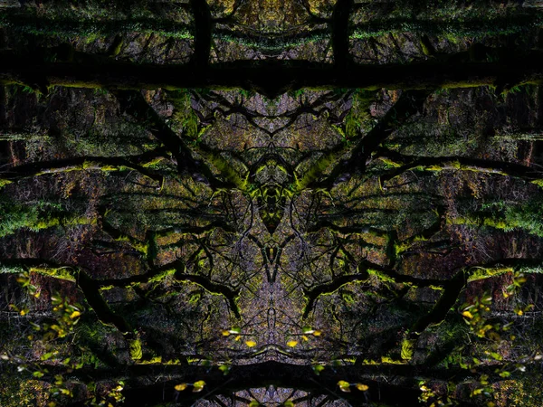 Psychedelische Regenwaldgesichter Symmetrischer Kaleidoskopspiegel Abstrakter Hintergrund — Stockfoto
