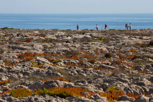 Bir grup turist tatilde Sagres Kalesi Kayalıklarında, Sagres 'te, Portekiz' de yürüyor..