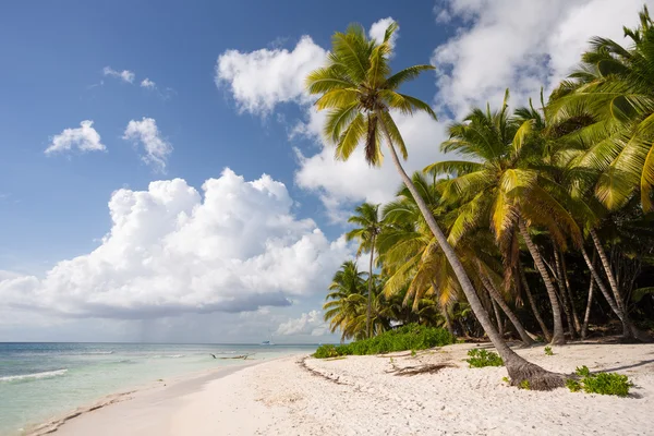 Saona, ostrov v Punta Cana, Dominikánská republika. — Stock fotografie