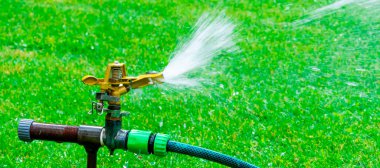 Bir çim püskürtücü bir bahçedeki yeşil çimlere su püskürtür. Güneş ışıl ışıl parlıyor, parlayan su damlacıkları oluşturuyor. Sıcak, güneşli bir gün. Çimleri sulamak için ideal..