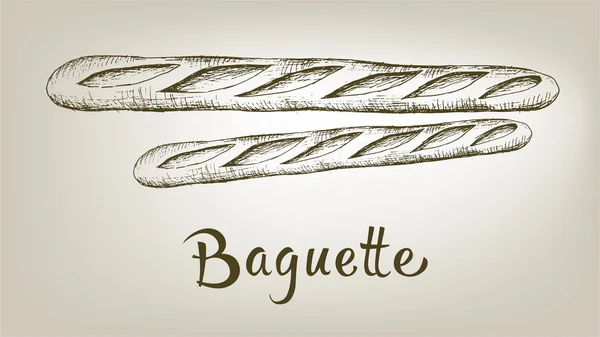 Illustration vectorielle dessinée à la main de baguette — Image vectorielle