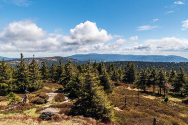 Vozka tepesinden Çek Cumhuriyeti 'ndeki Jeseniky dağlarının manzarası