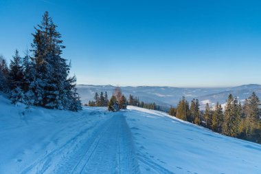 Soğuk kış sabahı Polonya 'da Beskid Slaski dağlarındaki Cienkow dağ sırtında tepeler ve açık gökyüzü karla kaplıydı.