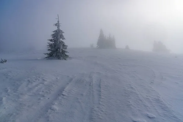 Montañas Invierno Brumosas Con Nieve Pequeños Árboles Cerca Colina Skalka — Foto de Stock