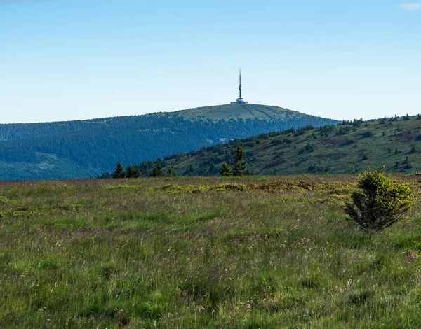 Colina Praded Com Torre Comunicação Jeleni Hrbet Cume Colina Montanhas — Fotografia de Stock