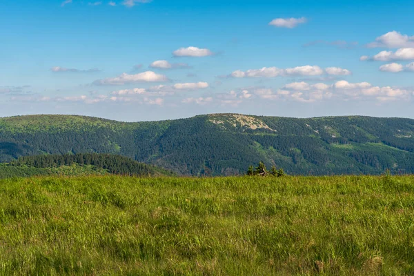 Jeleni Hrbet Bridlicna Pecny Colinas Mravanecnik Colina Cumbre Las Montañas —  Fotos de Stock