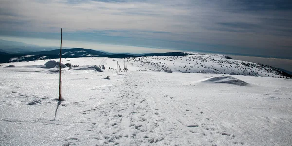 チェコ共和国ヴィソカ丘からの冬のイェセニーキ山の丘 雪に覆われたハイキングコース 雲と青空 — ストック写真
