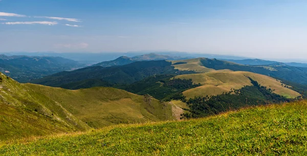 Чудові Краєвиди Гір Вкритих Луками Глибоким Лісом Вершини Пагорба Ола — стокове фото