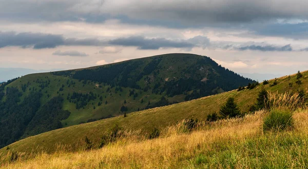 Slovakya Daki Velka Fatra Dağlarında Ploska Tepesi Nin Aşağısındaki Yürüyüş — Stok fotoğraf