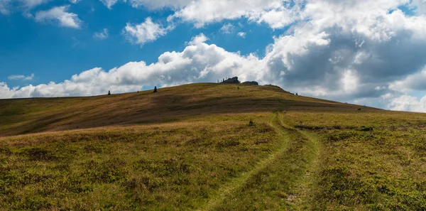 Kopec Pokrytý Horskou Loukou Skalní Formací Křížem Vrcholu Sigleu Mare — Stock fotografie