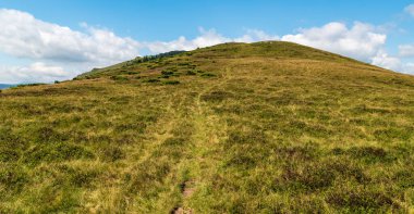 Romanya 'nın Karpat Dağları' ndaki Valcan Dağları 'nda dar yürüyüş yollarıyla kaplı bir dağ çayırı tepesi
