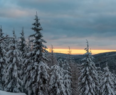Kar, donmuş küçük ağaçlar ve Ondrejnik tepesi ile yürüyüş yollarını kapatıyordu. Arka planda kar yoktu. Lysa Hora tepesinin altında kışın Çek Cumhuriyeti 'ndeki Moravskoslezske Beskydy Dağları vardı.