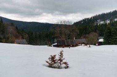 Çek Cumhuriyeti 'ndeki Moravskosske Beskydy dağlarında Martinak ve Kladnata arasında üç ahşap evi bulunan Zadni Mecova yerleşimi