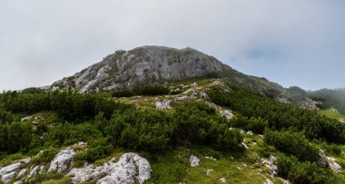 Romanya 'nın Retezatul Mic dağlarındaki Rocky kireçtaşı Piatra Iorgonalui tepesi