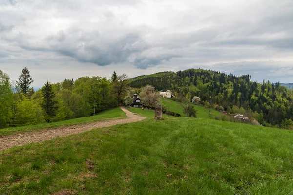 Filipka Çek Cumhuriyeti Nin Slezske Beskydy Dağları Nda Baharda Arka — Stok fotoğraf