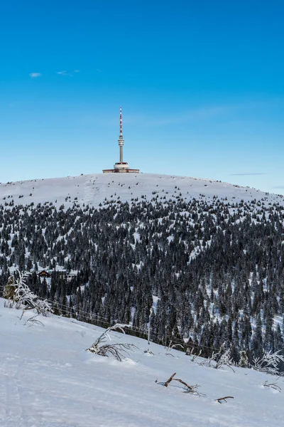 Praded Wzgórze Wieżą Komunikacyjną Zimie Jeseniky Góry Czechach — Zdjęcie stockowe