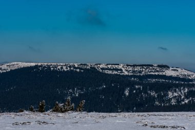 Dlouhe, Jeleni Studanka 'nın yukarısındaki Jeleni Tepesi zirvesinden Çek Cumhuriyeti' ndeki Jeseniky Dağları 'nda boğuluyor.