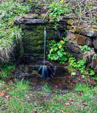 İlkbaharda Caltha palustris çiçekleriyle akan su akıntısı Moravskoslezske Beskydy dağları Çek Cumhuriyeti 'nde Slav Tepesi' nin altında