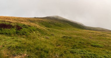 Romanya 'nın Karpatya dağlarında bulutlu bir günde ovalarla kaplı tepeler - Straja tatil beldesinin üstündeki Muntii Valcan
