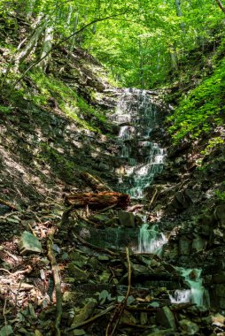 Çek Cumhuriyeti 'nin Moravskoslezske Beskydy dağlarındaki Moravka köyünün etrafındaki ağaçlarla dolu bir şelale.