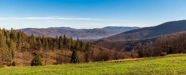 秋のベスキディチェコ共和国との国境近くのポーランドのマラ チャントリアの丘の頂上の下の牧草地からのスラスキ山 — ストック写真