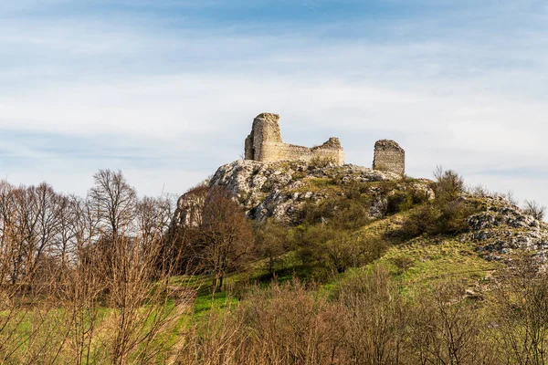 Ruïnes Van Sirtoci Hradek Kasteel Palava Bergen Tsjechië Lente Ochtend — Stockfoto