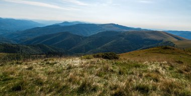 Romanya 'daki vahşi Karpat dağları - Muntii Valcan sıradağları, güzel yaz sabahı boyunca dağ çayırları ve derin ormanlarla kaplıydı