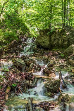 Slovakya 'daki Mala Fatra dağlarındaki Horne vadisinde, arka planda taşlı ve ağaçlı şelaleler.