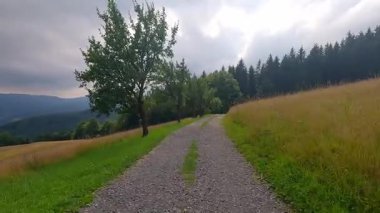 Çek Cumhuriyeti 'nin Moravskosske Beskydy dağlarındaki Chata Kamenity kulübesinde geniş patika, çayır, ağaçlar ve ormanla çevrili güzel bir kulübe.