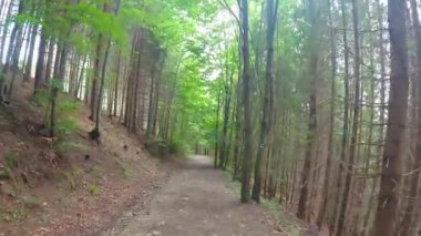 Çek Cumhuriyeti 'nin Moravskoslezske Beskydy dağlarında Kamenity ve Dolni Lomna arasında geniş yürüyüş yolu