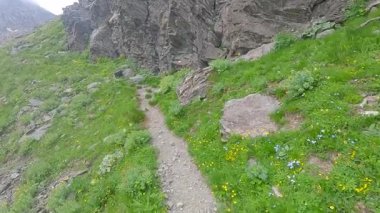 İtalya 'nın Graian Alpleri' ndeki Passo delle Mangioire dağ geçidine doğru dar yürüyüş yolu.