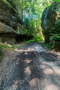 Yaz boyunca Çek Cumhuriyeti 'nin Kokorinsko bölgesinde arka planda ormanlı kayalar arasındaki patika
