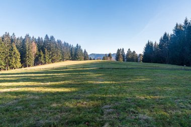 Orman çevrili sonbahar çayırı ve arkadaki tepeler Çek Cumhuriyeti 'nin Moravskosske Beskydy dağlarındaki Lysa hora tepesi.