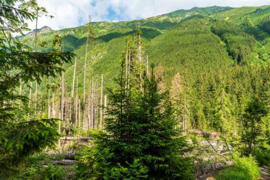 Slovakya 'nın Tatra dağlarındaki Koprova Dolina Vadisi' nden Liptovske kopy dağ sırasının bir kısmı güzel bir yaz günü boyunca