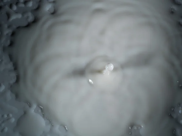 Kropla mleka na talerzu — Zdjęcie stockowe